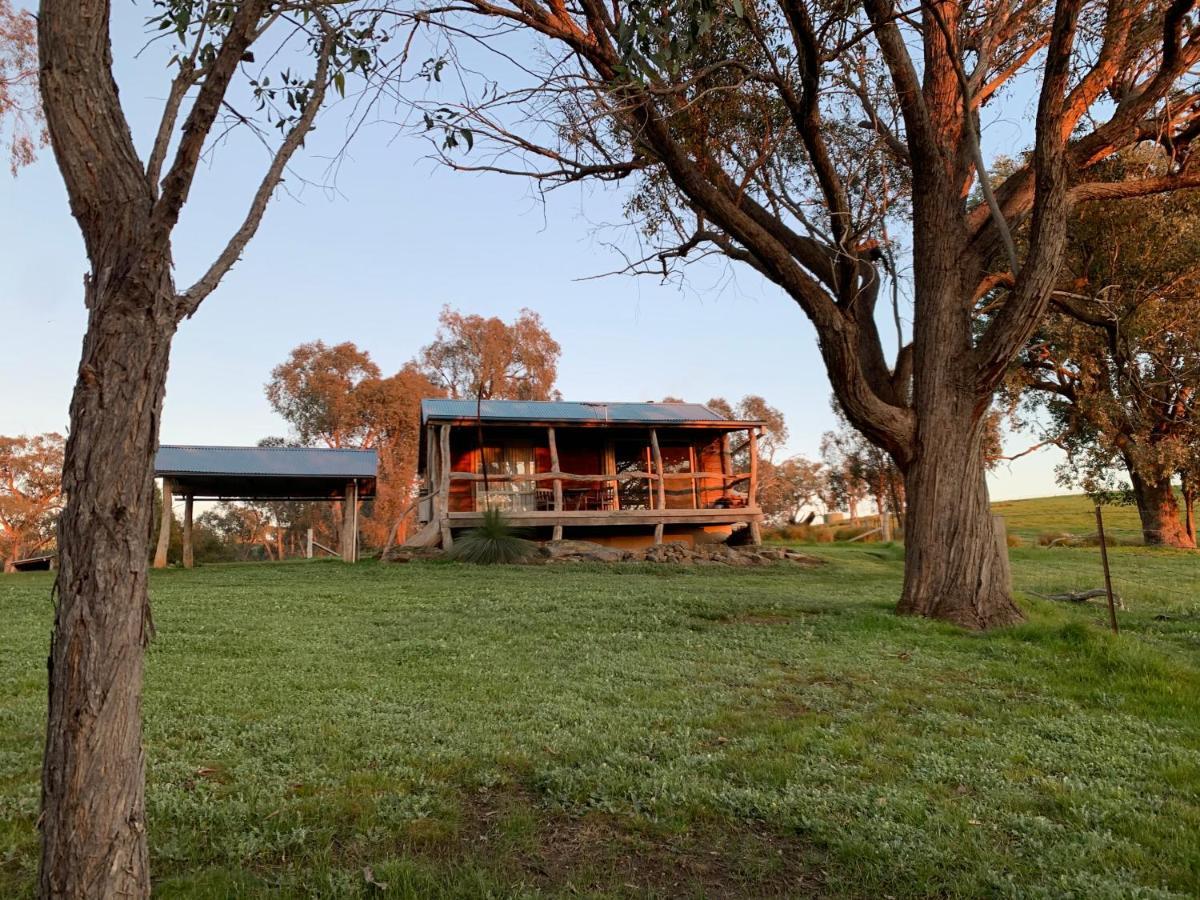 Gaddleen Grove Cottages 沃东加 外观 照片