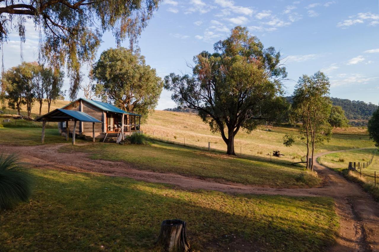 Gaddleen Grove Cottages 沃东加 外观 照片