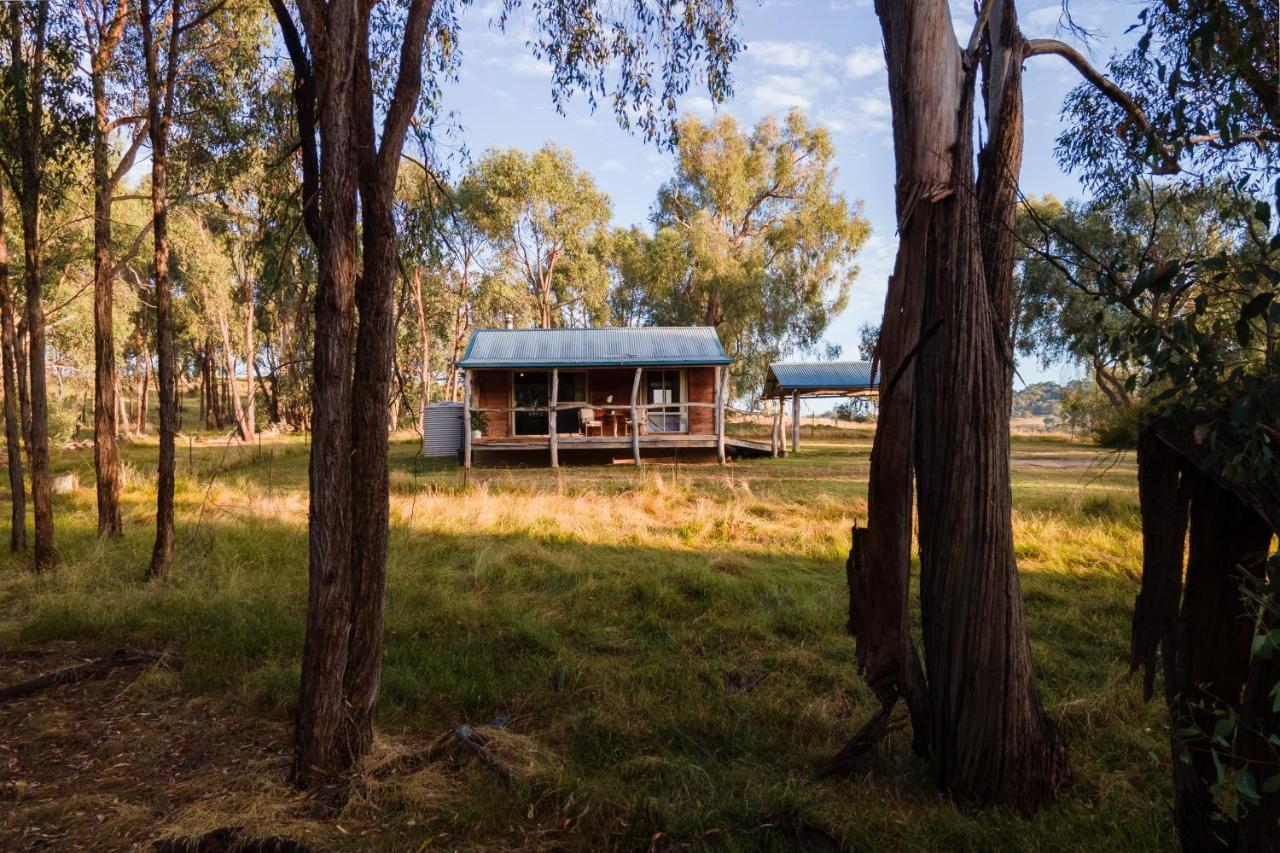 Gaddleen Grove Cottages 沃东加 外观 照片